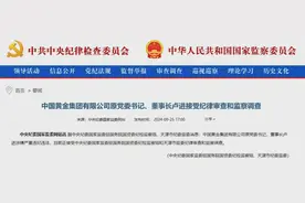 通报！中国黄金集团原董事长，被查！图片