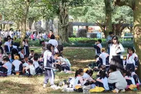 江山如画｜椰岛风情惹人醉，蓬勃发展展新颜图片