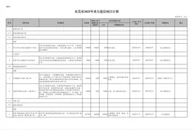 近千项目+近万亿总投资！东莞公布2025年市重大项目计划图片