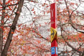 广州地铁内这些行为，将禁止！图片