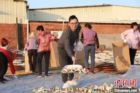 香港青年返乡创业 匠制陈皮柑茶“闯”出海新通道图片