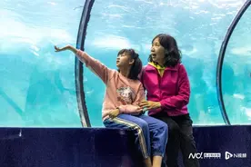 珠海长隆“给妳放天假”，让“超人”妈妈感受幸福和快乐图片