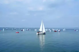 沪苏湖高铁练塘站明年通车，示范区城际线开工，青浦“枢纽门户”作用愈发凸显图片