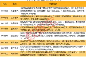 两大主力共同抢筹这些半导体股图片