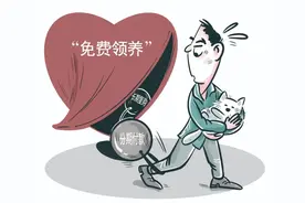 宠物“免费领养”背后，有多少“坑”在等着你？图片