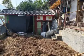 四川黑熊下山伤人被反杀，多地因“熊出没”正开展防熊实验图片