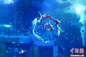 美人鱼冠军表演秀在广州举行 融合奥运元素受欢迎图片