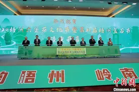 2024梧州六堡茶文化节暨第21届梧州宝石节开幕图片