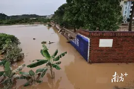 高州沙田暴雨后：数百亩农田被淹，村民清淤忙图片
