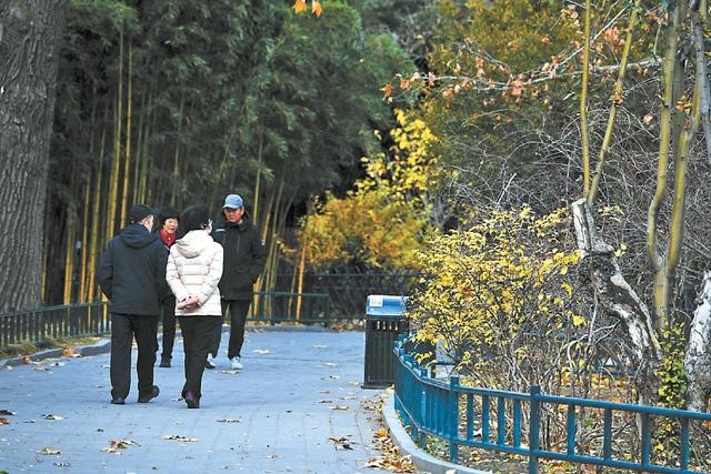 文旅｜北京多维度发力增加“赏秋+”内涵 科技创新助力北京秋天“慢下来”