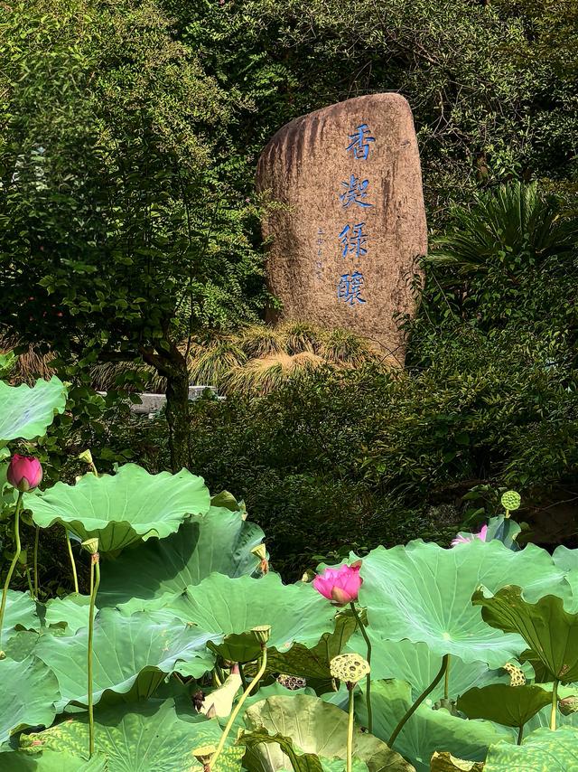 晚潮｜秋风犹有信　白露凝草叶
