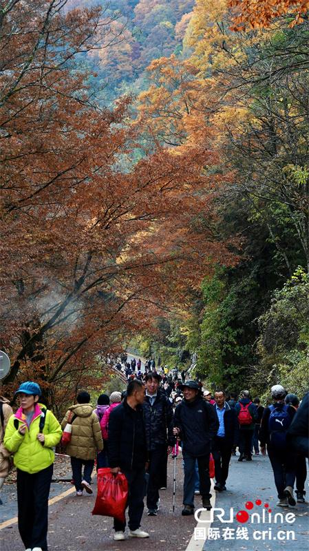 台湾自媒体人点赞四川光雾山绝美秋色（两岸关系）