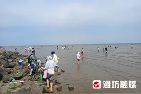 初秋的快乐是赶海给的！图片