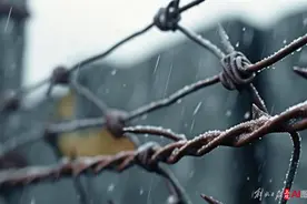 30多年前，我去了上海话里的白茅岭图片