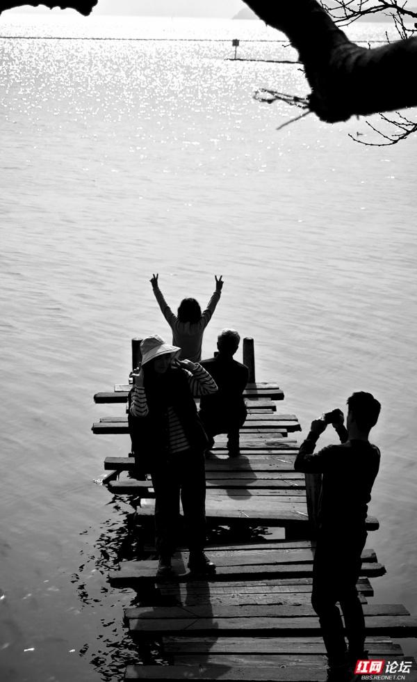 一栈清风，等你共赏太湖