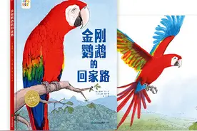 壹点音频|亲悦读：一只绯红金刚鹦鹉讲给孩子们的故事图片