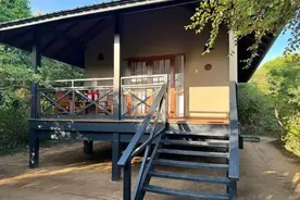 中国母女国外跟团游在酒店遇袭！差点被脱衣，导游回应图片