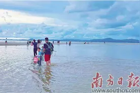 潮起潮落间 探寻大海的馈赠图片