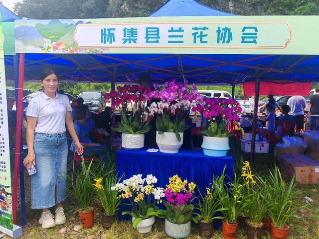 总投资额2.62亿元！肇庆怀集六月六金燕文化旅游体育嘉年华迎来文旅契机