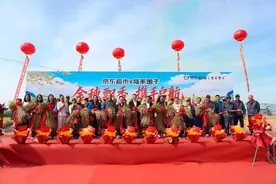 北方大米进入收获季再迎丰收 特等可溯源五常大米价格稳定在8元图片