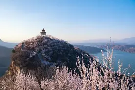 桃花与诗的故都图片