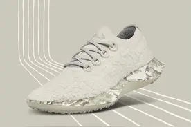 昂跑、HOKA猛涨，硅谷精英都爱的Allbirds为何飞得艰难？｜知料图片