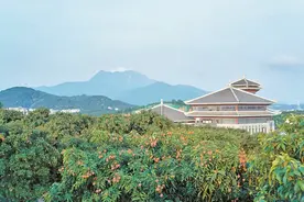 第八届中国荔枝龙眼产业大会明天在茂名高州举办 520相约茂名 共品夏日荔香图片