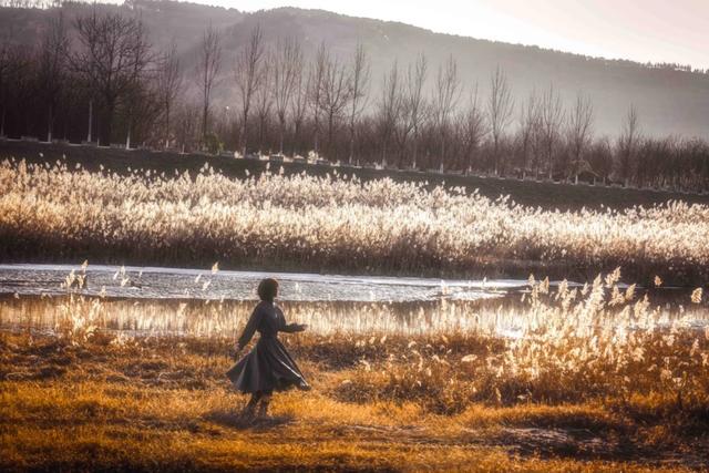 绒白胜雪！西安的芦苇仙境，氛围感拉满