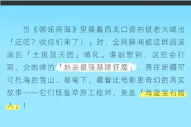 可可托海的「土拨鼠特工队」：从《哪吒闹海》到地下宝藏的奇妙冒险图片