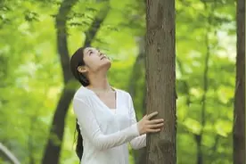 抱树疗愈很神奇吗图片