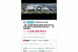 唏嘘！裁定破产不足10天，资产将被拍卖，起拍价约12.3亿元图片