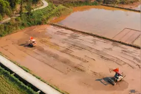 重庆永川：党建引领农机社会化服务 助推村级集体经济“提质增速”图片