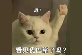 速看！“百亿补贴”能领吗？图片