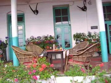 大吉岭，不只有红茶 | 范慕尤