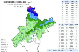武汉15日出梅，接下来……图片