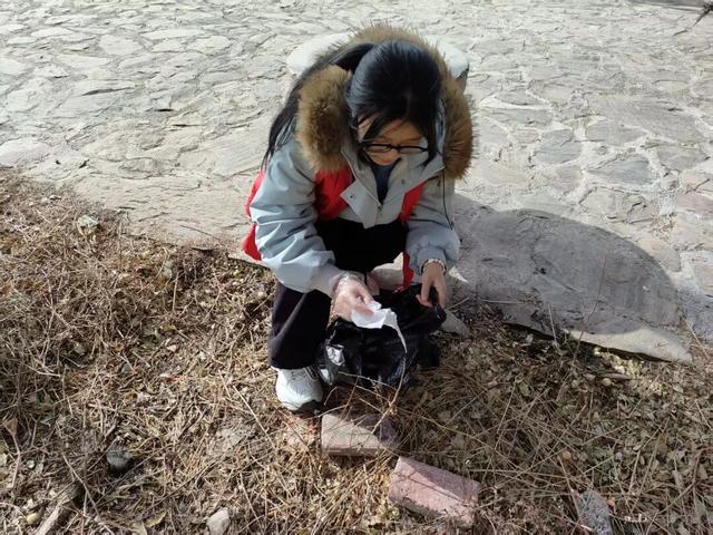 【青春护绿志愿行，环境焕新我先行】文县团委积极组织“返家乡”大学生参与环境卫生整治