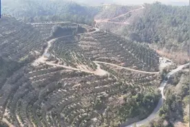 江西38地出现中度以上气象干旱 南丰等地达重度气象干旱图片