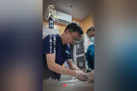 24年8万台手术，这个宠物医生“不简单”｜莞邑人物周刊图片