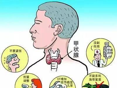 熬夜党注意！你的甲状腺正在为“生物钟紊乱”买单