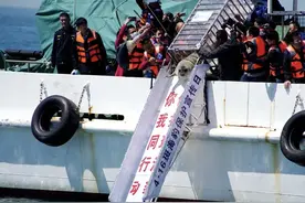 10头斑海豹重返大海！揭秘放归前的野化训练图片