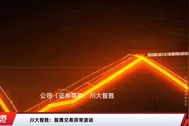 川大智胜：股票交易异常波动