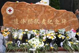 大体老师：以无声之躯，筑医学之基图片