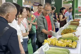 超5000个新品种亮相！第十届成都种业博览会开幕图片