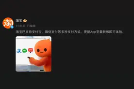 淘宝客服回应部分商家、商品无法使用微信支付：正在陆续放量中，具体以支付页面为准图片