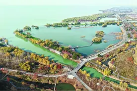冬日巢湖柘皋河湿地 草木尽染图片