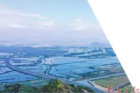 广东四条高速公路正式通车图片