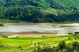 美好生活在云南｜重拾儿时的记忆！来腾冲五合邂逅山野烂漫图片