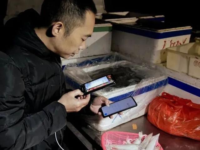 北部湾“18岁的海鲜”回来了！防城港、北海、钦州开海活动超全攻略看这篇→