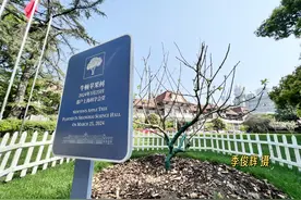 牛顿苹果树开花啦！图片