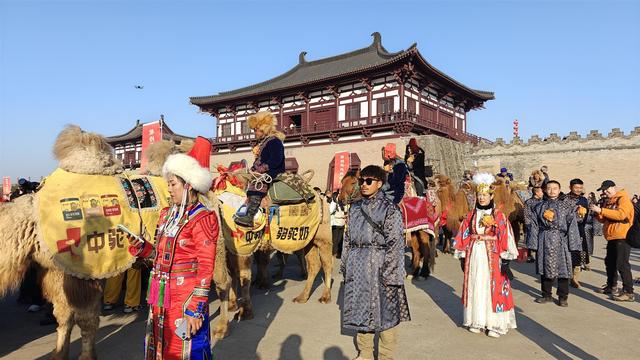 新疆东天山骆驼队亮相洛阳定鼎门，队员讲述3000公里历程：走村道乡道避免影响交通，从夏天走到冬天毕生难忘